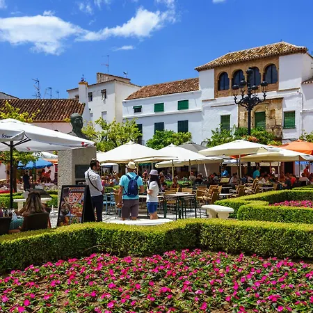 Palm By Interhome Apartment